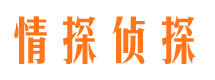 龙江市侦探公司